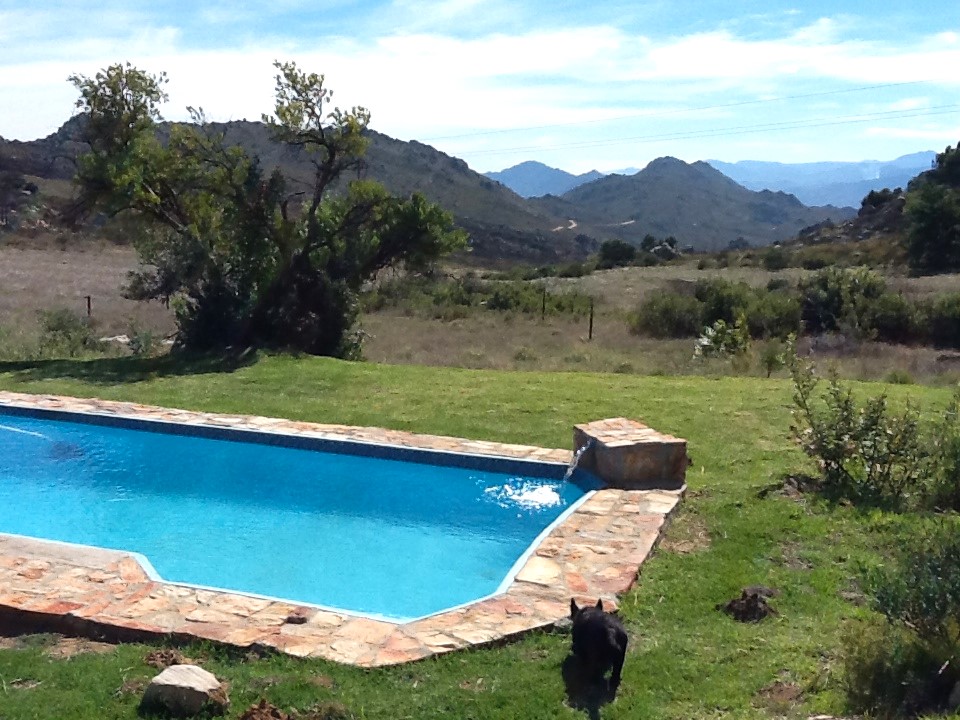 The Pool